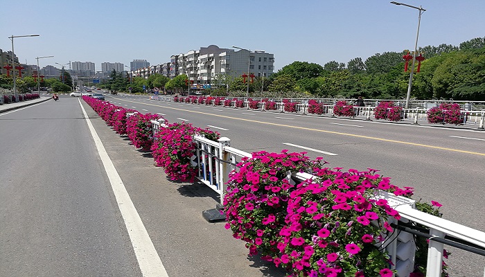 朗汀園林花箱，還未來一片藍(lán)天