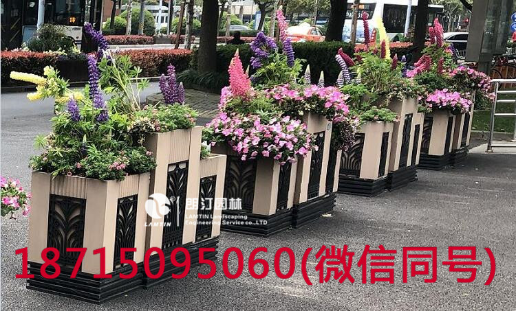 上海人民廣場(chǎng)綠化花箱圖片