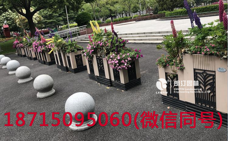 市政府門口廣場(chǎng)景觀綠化花箱